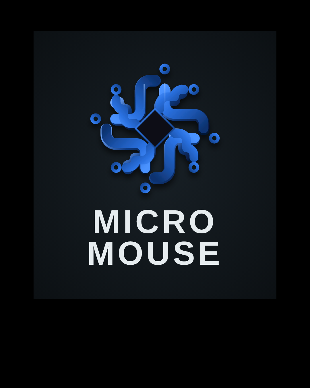 Micro Mouse Robot
